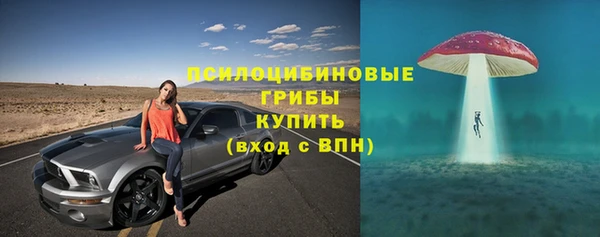прущие грибы Остров