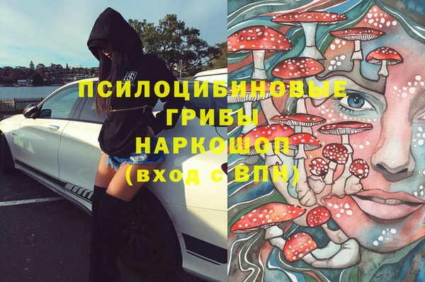 прущие грибы Остров