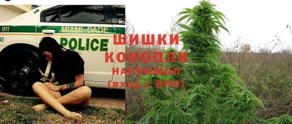 прущие грибы Остров