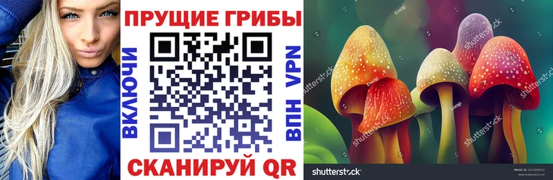 ОМГ ОМГ маркетплейс  где купить   Кувандык  Псилоцибиновые грибы GOLDEN TEACHER 