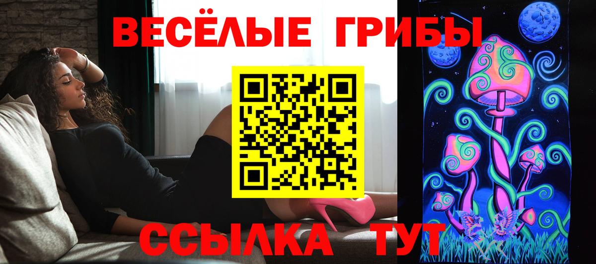 Кувандык  Галлюциногенные грибы GOLDEN TEACHER  Вход с VPN 
