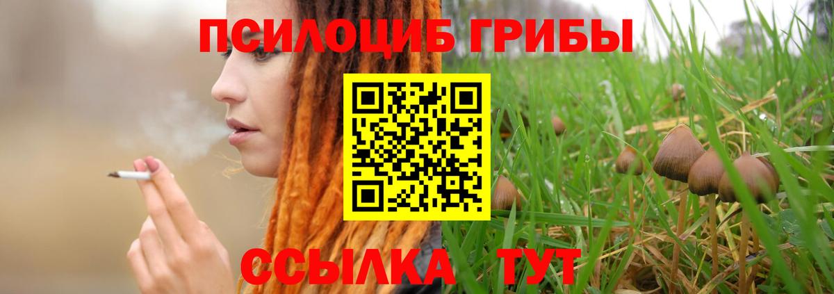 Галлюциногенные грибы Psilocybine cubensis Кувандык